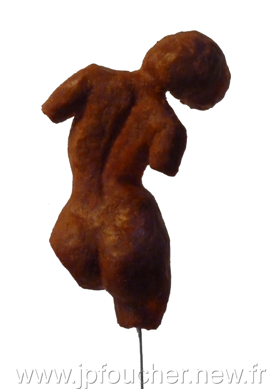 Vénus callipyge brune